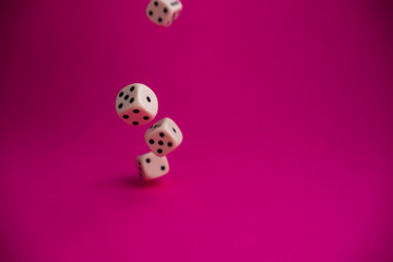dice in fall on magenta background