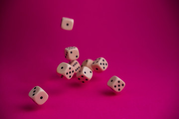 dice in fall on magenta background