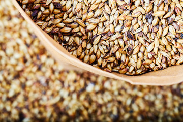 Barley malt - Castel Malting of the type,  used for the production of craft and home beer.