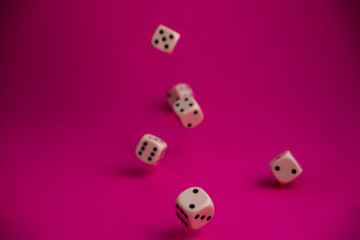 dice in fall on magenta background