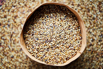 Barley malt - Castel Malting of the type,  used for the production of craft and home beer.