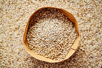 Pale Ale barley malt, used for the production of craft and home beer.