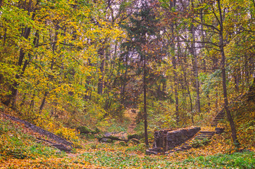 Beautiful autumn park strewn with fallen leaves