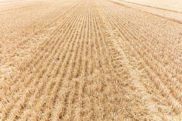 Abgeerntetes Feld als Hintergrund zum Thema Landwirtschaft
