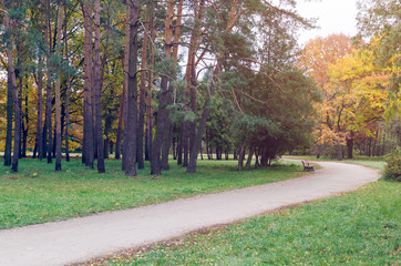 Beautiful autumn park strewn with fallen leaves