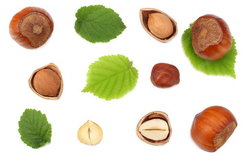 hazelnuts with leaves isolated on white background. top view