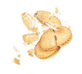 Tasty biscuit crushed into pieces close-up isolated on a white background