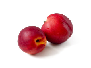 Two ripe nectarines