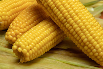 Boiled Corn on corn leaves, with shallow depth of field