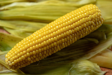 Boiled Corn on corn leaves, with shallow depth of field