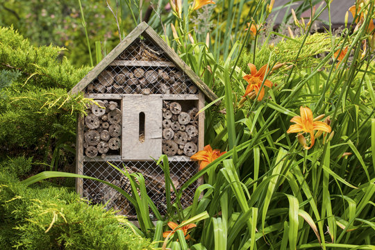 Insect House - Hotel In A Summer Garden