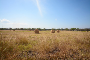 Beautiful pasture field with hay bales and a bright blue sky in the countryside of Panama