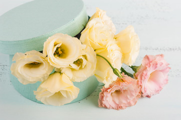Yellow eustoma flowers and gift box