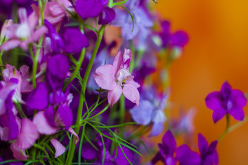 Obraz na płótnie Canvas a bouquet of bright spring flowers of various types