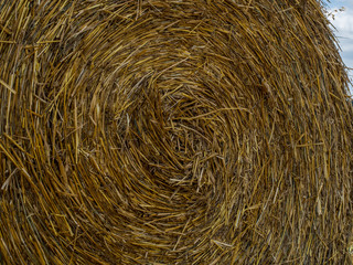 Background, texture. Big bales of straw.