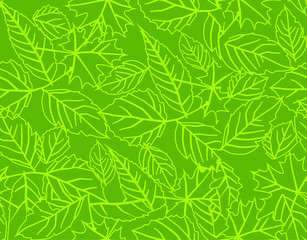 ornament consisting of leaves of trees