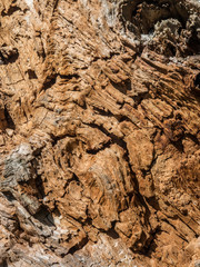 Background, texture, wood.