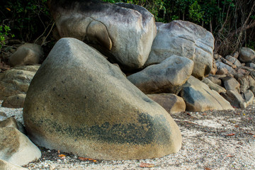 Rocky mountain background