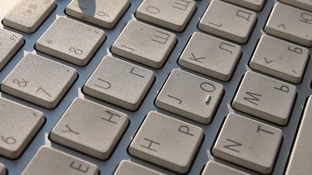 Ladybug on the keyboard. The legend says that who visited the area of intelligence, the bug will definitely help in advancing your career or will allow to establish a business.