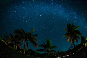 Fototapeta na wymiar Night sky over coconut palm trees on a beach, rocks, sea or ocean. The night sky with stars, meteorites, milky way and clouds. Night star photography with long exposure. Illustration of privacy.