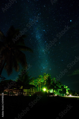 Night Sky Over Coconut Palm Trees On A Beach Rocks Sea Or