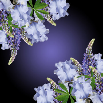 Beautiful floral background of lupins and irises 