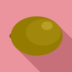 Kiwi icon. Flat illustration of kiwi vector icon for web design