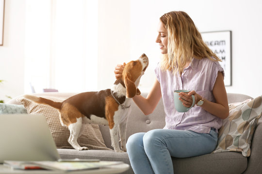 Young Woman With Her Dog At Home