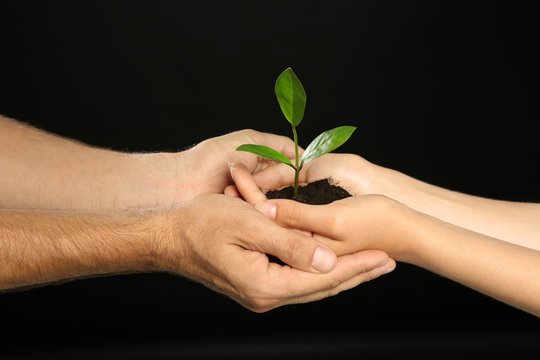 Woman and man holding soil with green plant in hands on black background. Family concept