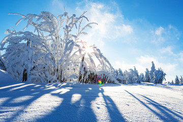 sunny winter time landscape 
