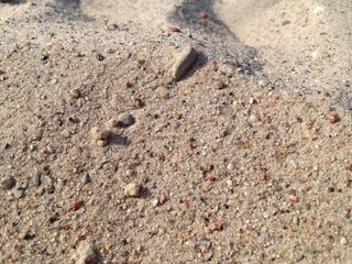 Sand on the beach