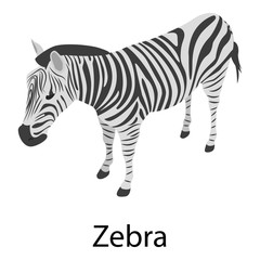 Fototapeta na wymiar Zebra icon. Isometric of zebra vector icon for web design isolated on white background