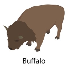 Buffalo icon. Isometric of buffalo vector icon for web design isolated on white background