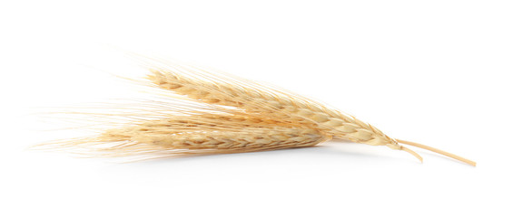 Fototapeta na wymiar Spikelets on white background. Healthy grains and cereals