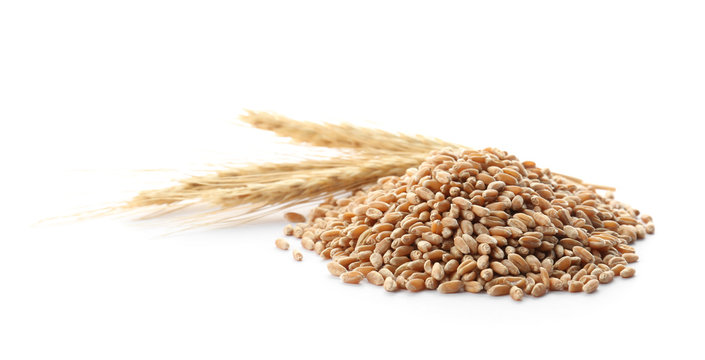 Wheat grains with spikelets on white background