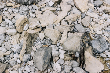 Sharp grey rocks texture