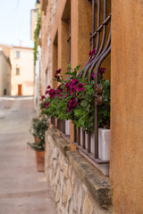 Fototapeta premium rośliny i kwiaty wiszące nad oknem domu