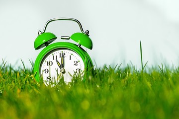 Alarm Clock in the Grass