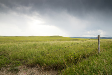 Black Hills in South Dakota
