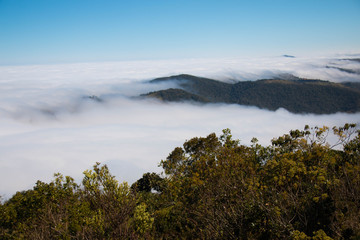 Sao Paulo, Wedge , Brazil, Lavender, Flower, Laundry Rio de Janeiro, Angra dos Reis, cloud, nature, Cunha