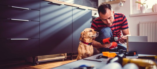 Man with dog building kitchen cabinets