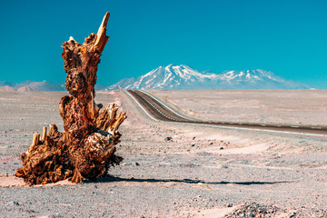 Atacama road