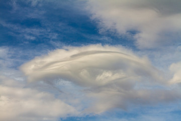 Curved Lenticular Cloud Against a Cobalt Blue Sky 