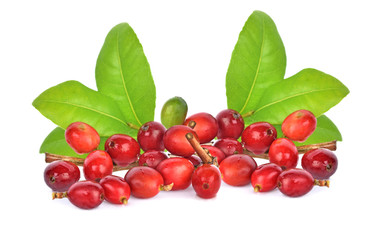 coffee beans on white background.
