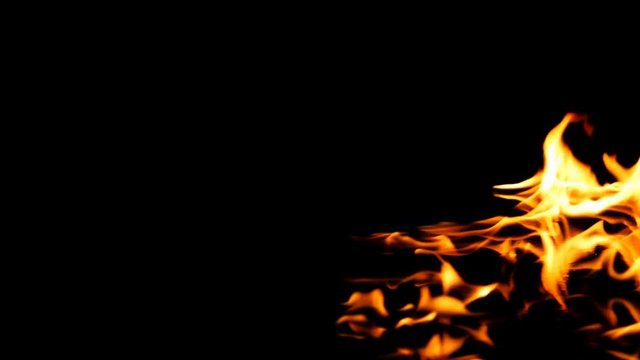 Fire Flames Igniting And Burning - Slow Motion. A line of real flames ignite on a black background. Real fire. Transparent background. PNG + Alpha
