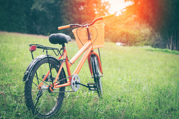 Orange bikes on flower grass field background.