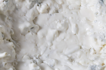 Gorgonzola