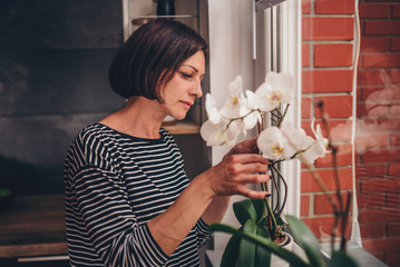 Woman checking orchid on the window