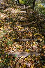 落ち葉の積もる登山道