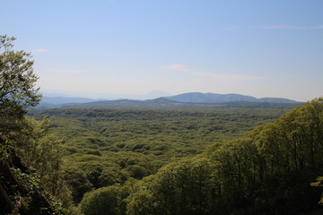 風景, 山, 空, 自然, 山, 森, 青, 雲, ヒル, 景色, 緑, 木, 草, 木, 雲, サマータイム, 秋, 低地, 旅行, ヒル, ルーラル, 明媚, 美しい, 落ちる, 日